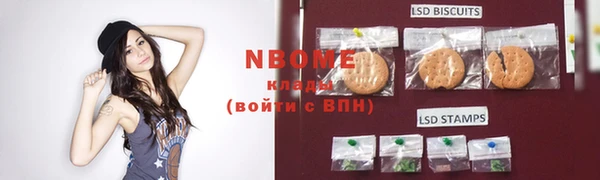 стаф Балахна