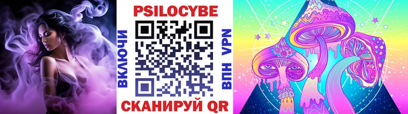 Купить  Беломорск  Псилоцибиновые грибы GOLDEN TEACHER 
